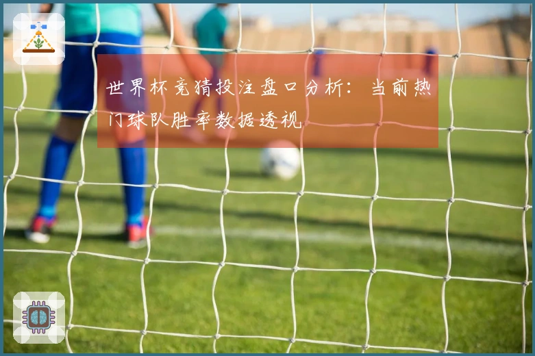 世界杯竞猜投注盘口分析：当前热门球队胜率数据透视