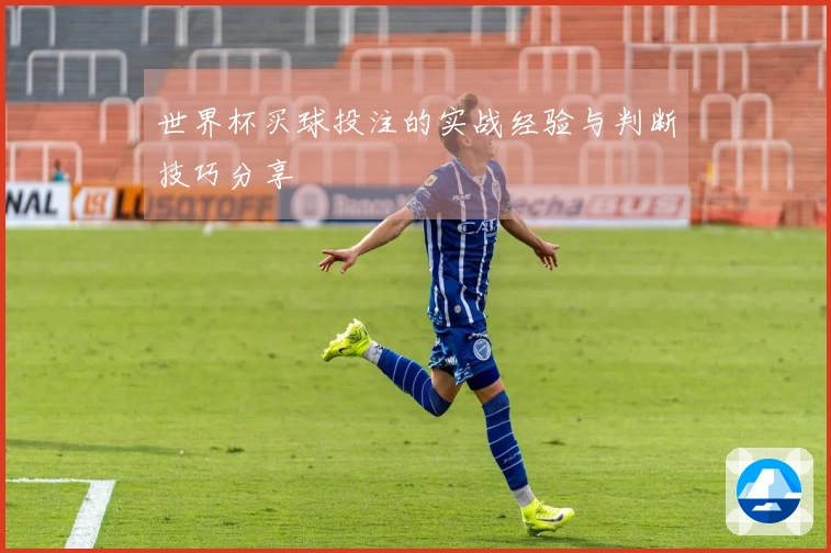 世界杯买球投注的实战经验与判断技巧分享