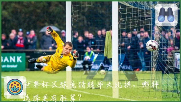 世界杯买球竞猜赔率大比拼，哪种选择更有胜算？