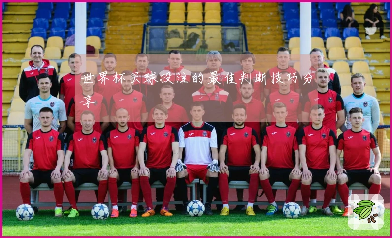 世界杯买球投注的最佳判断技巧分享