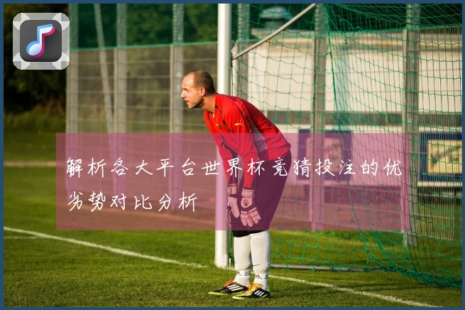 解析各大平台世界杯竞猜投注的优劣势对比分析