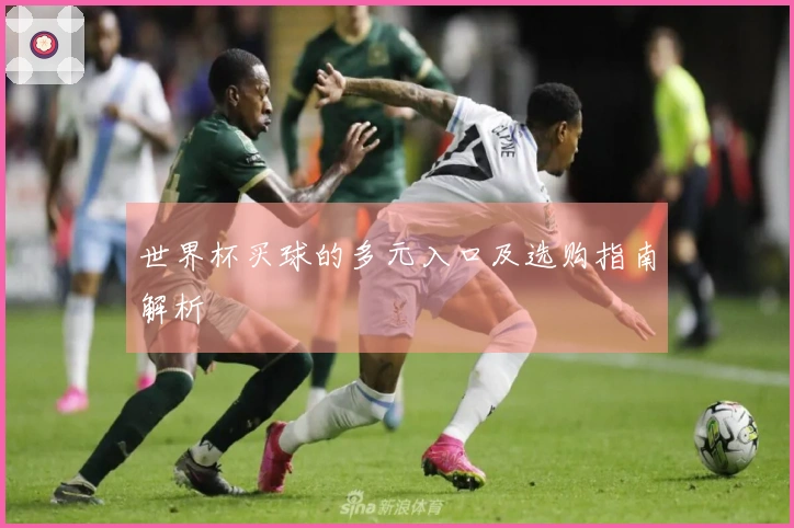 世界杯买球的多元入口及选购指南解析