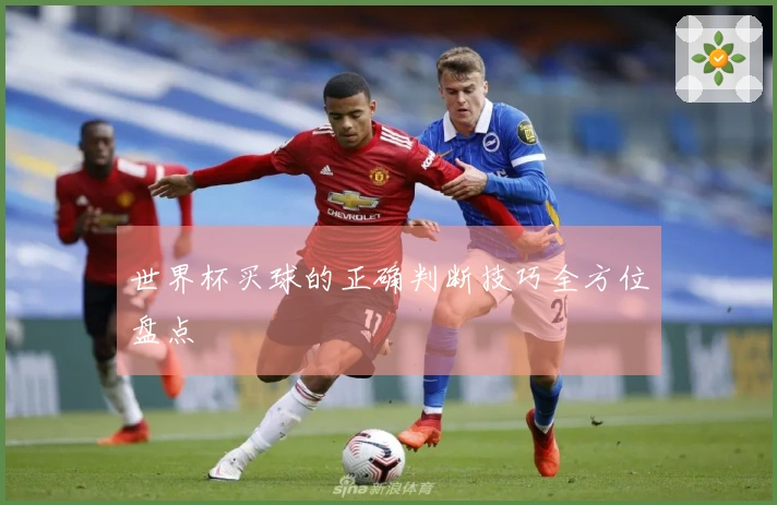 世界杯买球的正确判断技巧全方位盘点