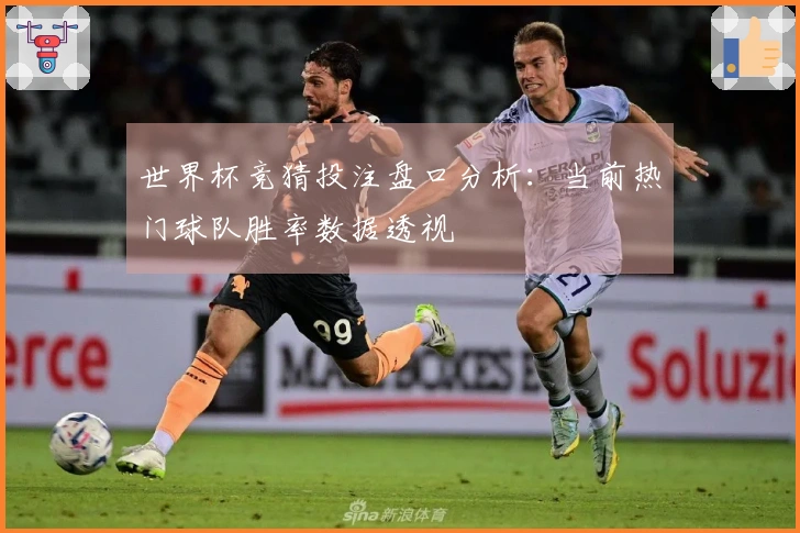 世界杯竞猜投注盘口分析：当前热门球队胜率数据透视