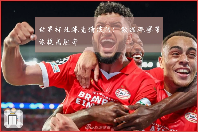 世界杯让球竞猜技巧：数据观察带你提高胜率