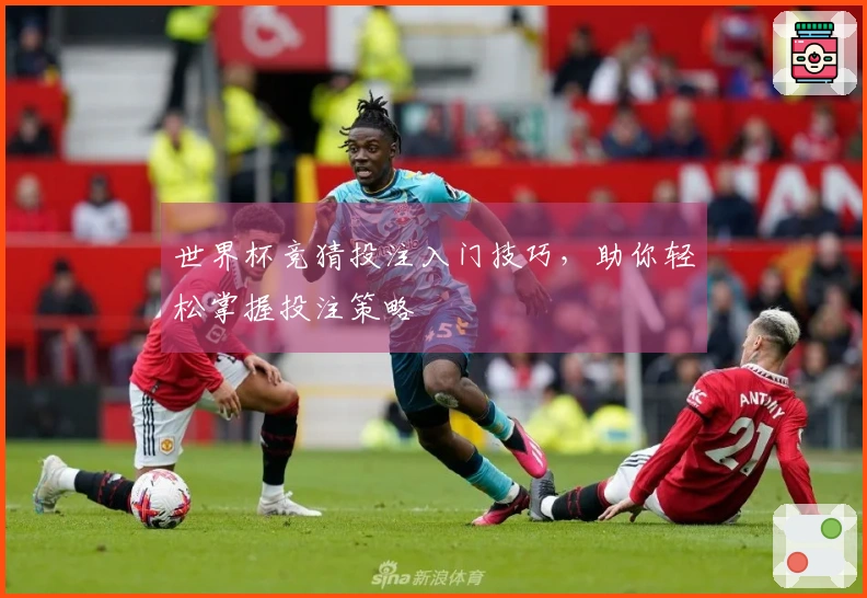 世界杯竞猜投注入门技巧，助你轻松掌握投注策略