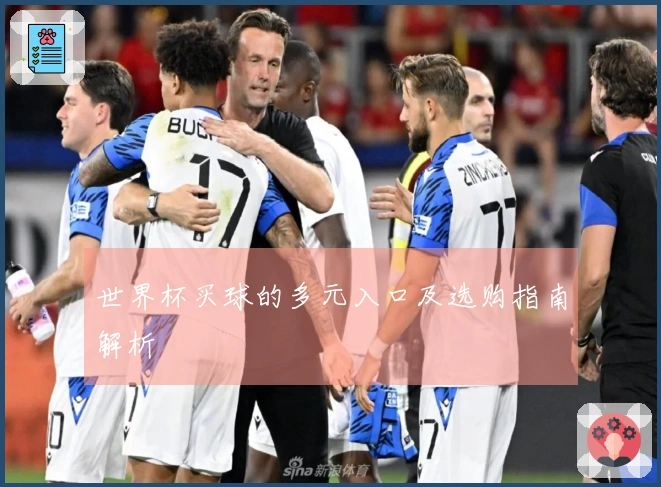世界杯买球的多元入口及选购指南解析